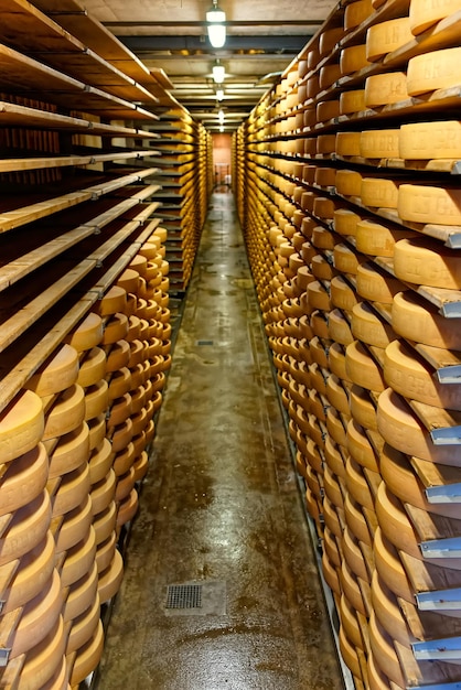 Formaggio Gruyère stagionato in una cantina del caseificio Maison du Gruyère in Svizzera. La groviera è un famoso formaggio svizzero generalmente conosciuto come uno dei migliori formaggi da forno e adatto per le fondute