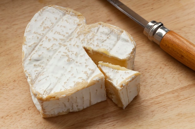 Formaggio neuchâtel francese tradizionale