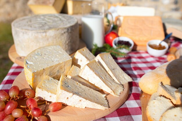 Formaggio tipico della Valle del Taleggio Brembana Alpi italiane