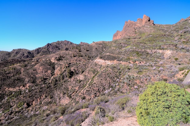 Formazione basaltica di roccia vulcanica a Gran Canaria Isole Canarie
