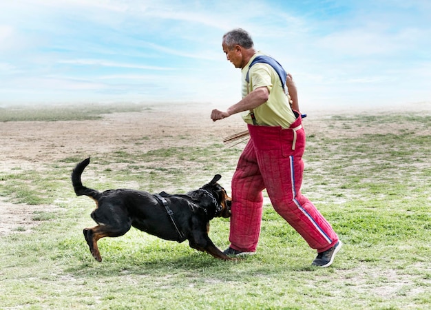 Formazione di rottweiler