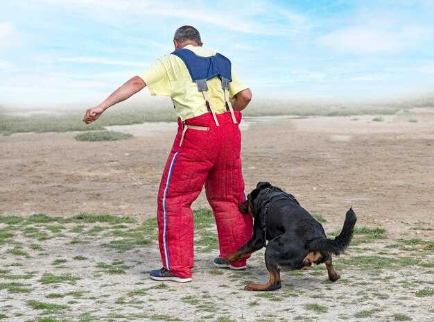 Formazione di rottweiler