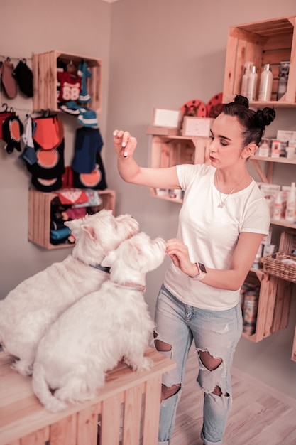 Formazione e alimentazione. Giovane donna dai capelli scuri con panini per capelli che addestrano e nutrono i suoi cani