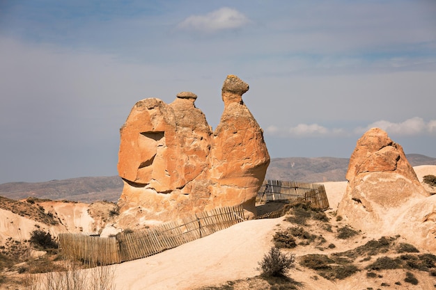 Formazione rocciosa del cammello nella valle di Devrent Cappadocia Turchia