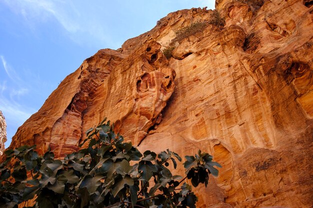 Formazione rocciosa del Siq a Petra Jordan