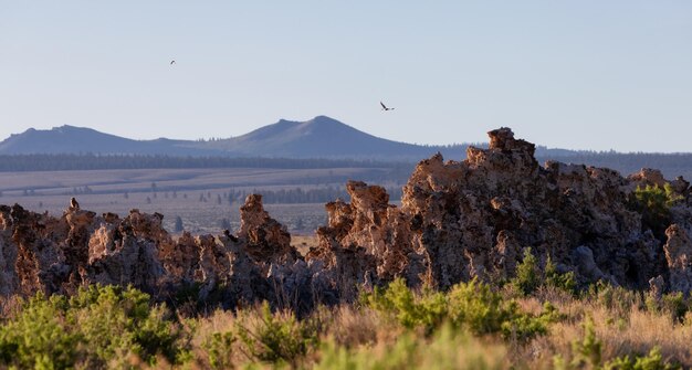 Formazione rocciosa di tufo a Mono Lake Sunny Sunrise