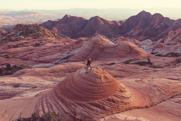 Formazioni di arenaria nello Utah, Stati Uniti d'America. Yant appartamenti