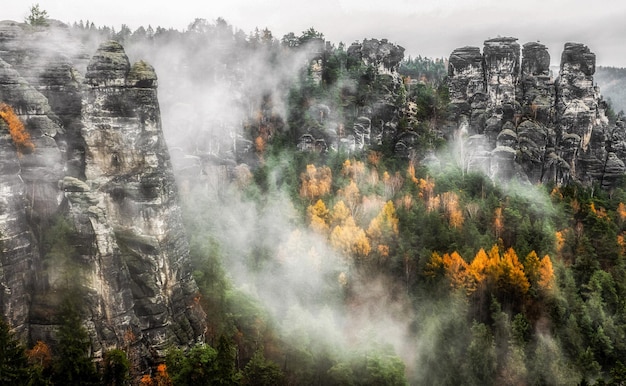 Formazioni rocciose e tempo nebbioso nella foresta autunnale colorata della Svizzera sassone in Germania