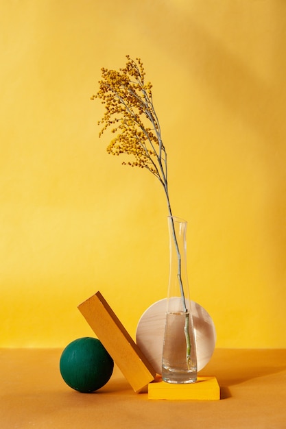 Forme geometriche vicino al vaso con ramoscello su sfondo giallo