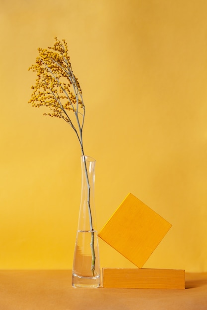 Forme geometriche vicino al vaso con ramoscello su sfondo giallo