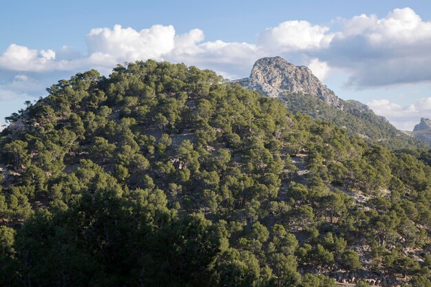 Formentor Paesaggio a Maiorca, Spagna