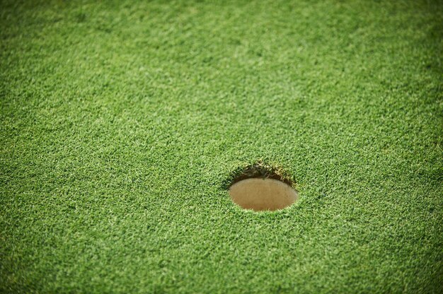 Foro di golf su una fine verde del campo in su