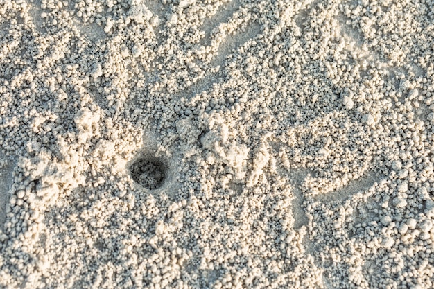 Foro di granchio con molta palla sulla spiaggia, fori di granchio sulla sabbia in Tailandia