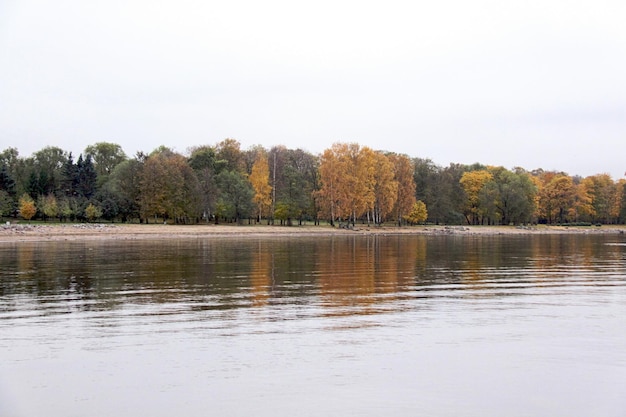 Fortezza variopinta degli alberi di autunno al fronte del fiume