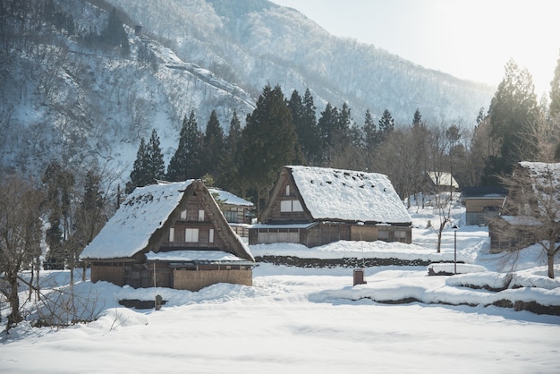 Forti nevicate in alberi, case e sentieri coperti d'inverno estremo