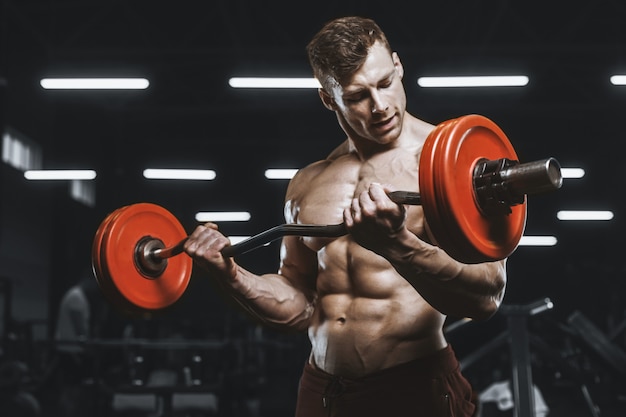 Forti uomini atletici bei che pompano il concetto di culturismo del ricciolo del bilanciere di allenamento dei muscoli