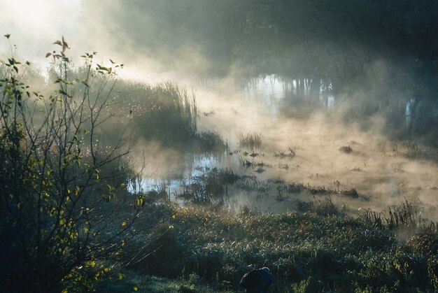 Foschia e nebbia sul fiume, mattina presto, raggi di sole, raggi di sole sull'acqua, mistero nella natura, magia mattutina.