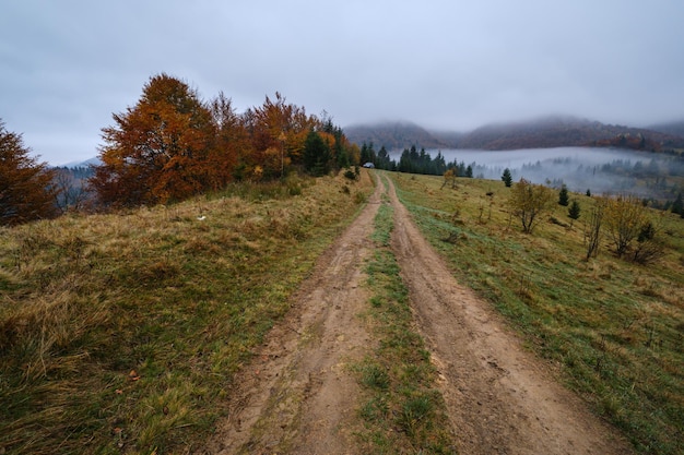 Foschia e nuvolosa mattina presto in autunno Carpazi e percorso di campagna sporco Ucraina