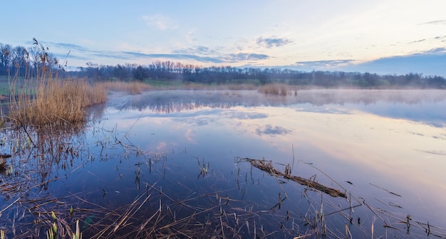 Foschia mattutina al lago