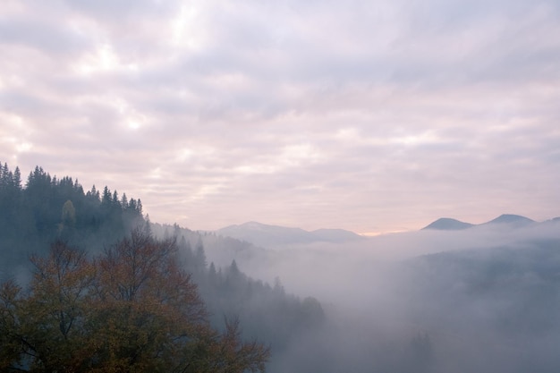 Foschia mattutina nelle montagne dei Carpazi in autunno Nebbia bianca sulla catena montuosa da sogno ricoperta di foresta verde