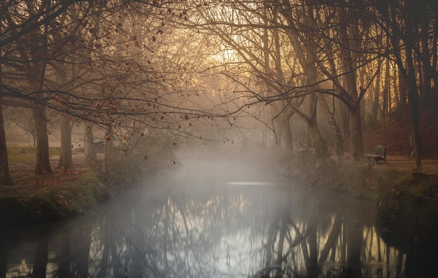 foschia mattutina sul fiume