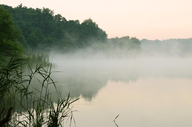 Foschia nebbiosa sul fiume al mattino