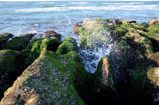 Fossa di pietra della costa di Laomei