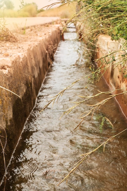 Fossato pieno d'acqua in un campo