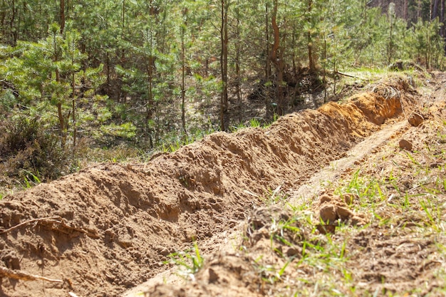 Fosso di fuoco nella foresta Un pozzo del fuoco nella foresta