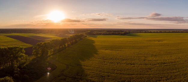 Foto a contrasto di campi agricoli in campagna al tramonto. Campo di colza con un sole al tramonto sullo sfondo