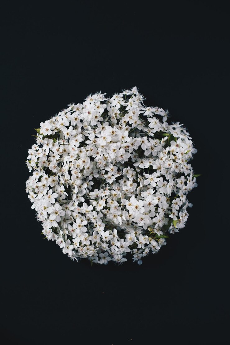 Foto foto acquerello fiori colorati bouquet isolato su sfondo bianco