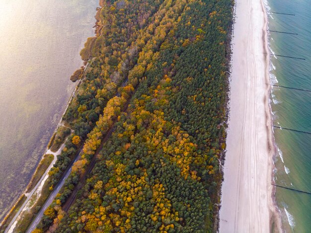 foto aerea di alberi colorati sulla penisola di hel al tramonto foglie autunnali colorate in riva al mare