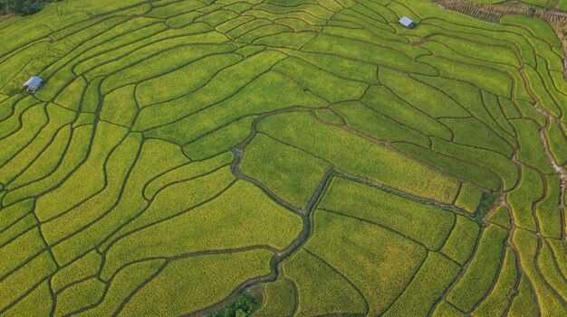 Foto aerea di vista superiore dal drone volante della campagna di Chiang Mai