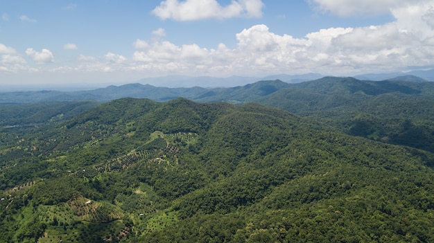 Foto aerea di vista superiore dal drone volante della campagna di Chiang Mai