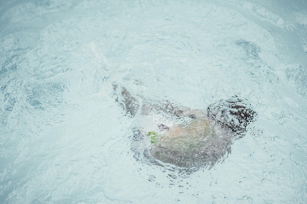 Foto astratta stile di vita natura sfondo Persona irriconoscibile corpo profondo sott'acqua guardare la superficie Mistero umore Concetto di futuro incerto senza peso affogare nell'oscurità problemi dell'infanzia