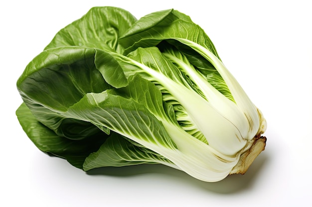 Foto Bok choy illustrazione realistica Generativa AI Bok choy cavolo cinese verde