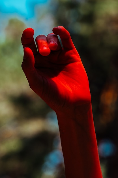 Foto concettuale, elegante mano femminile in luce rossa. Sfondo della foresta