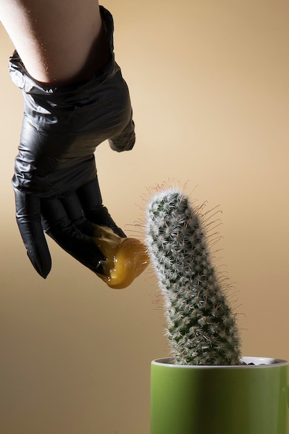 Foto creativa del cactus per l'epilazione zuccherata con articoli per la depilazione