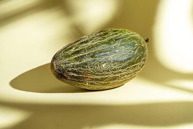 Foto creativa del melone saporito su fondo giallo con le ombre. Chiuda sulla vista sul melone dolce della frutta dell'estate. Concetto di foto di cibo. Opere d'arte con Anguria