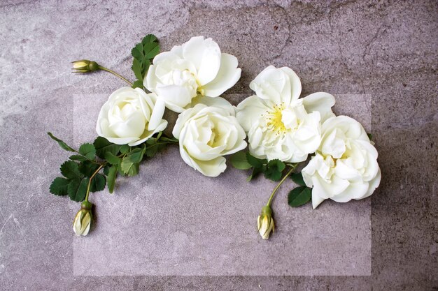 Foto d'archivio in stile Mockup di prodotto digitale femminile con elenco vuoto di carta con fiori di rosa