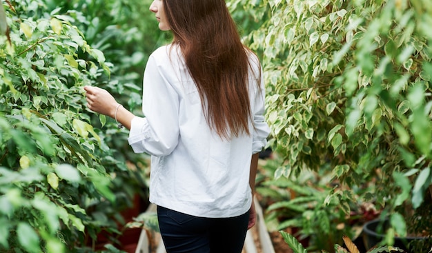 Foto da dietro di una giovane ragazza che cammina tra le piante in giardino.