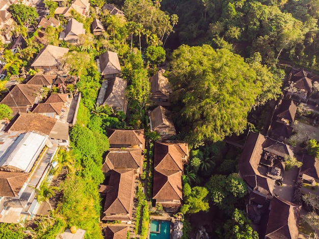 Foto dal drone, Ubud. Paesaggi aerei a Ubud, Bali, Indonesia