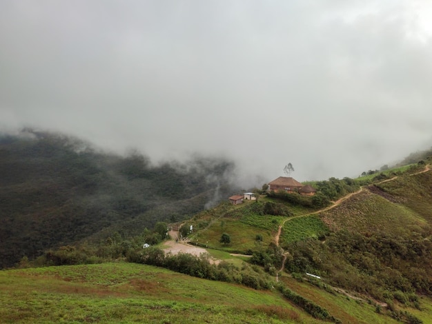 Foto del Bosque Monte Potrero situato a Umari Pachitea Perù