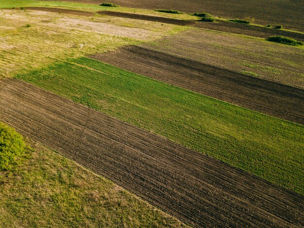 Foto del fuco della terra dell'azienda agricola del cereale durante il tempo di primavera