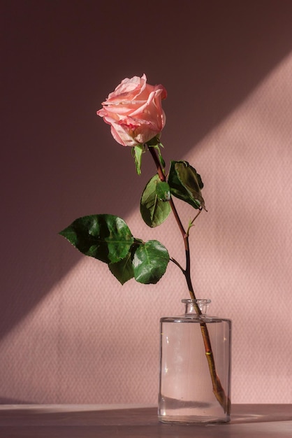 Foto del giorno di San Valentino