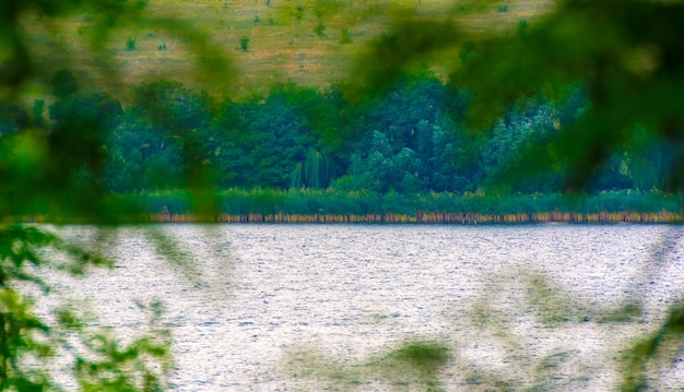 Foto del lato del bellissimo fiume blu attraverso la foresta verde