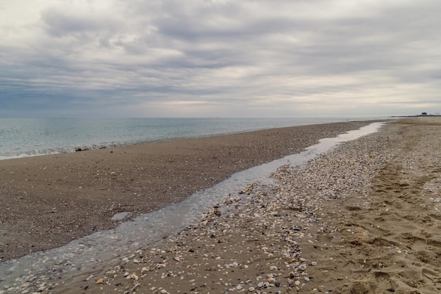 Foto del paesaggio della costa sabbiosa