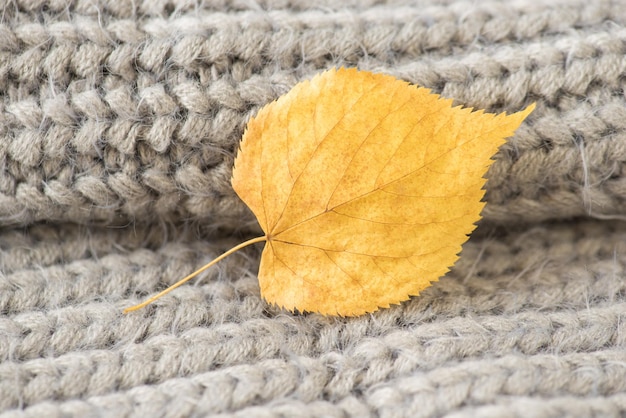 Foto del primo piano della foglia d'autunno gialla e del tessuto a maglia grigio