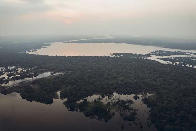 Foto del Rio delle Amazzoni da un'altezza foto di alta qualità