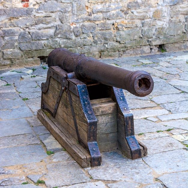 Foto del vecchio cannone antico nel castello di KamyanetsPodilsky